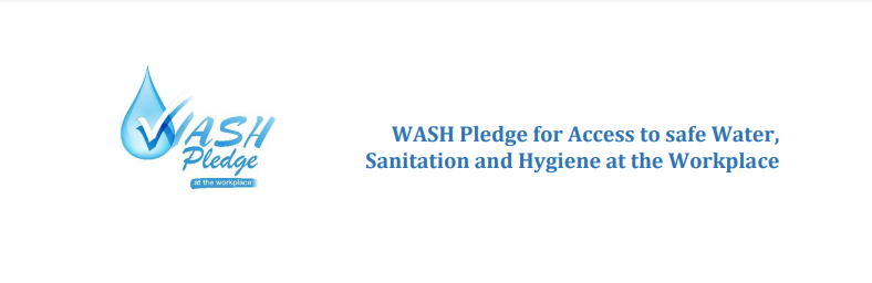 Wash-Pledge-Case-Study-Heading
